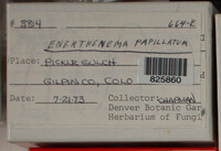 Image Associated With the Occurence